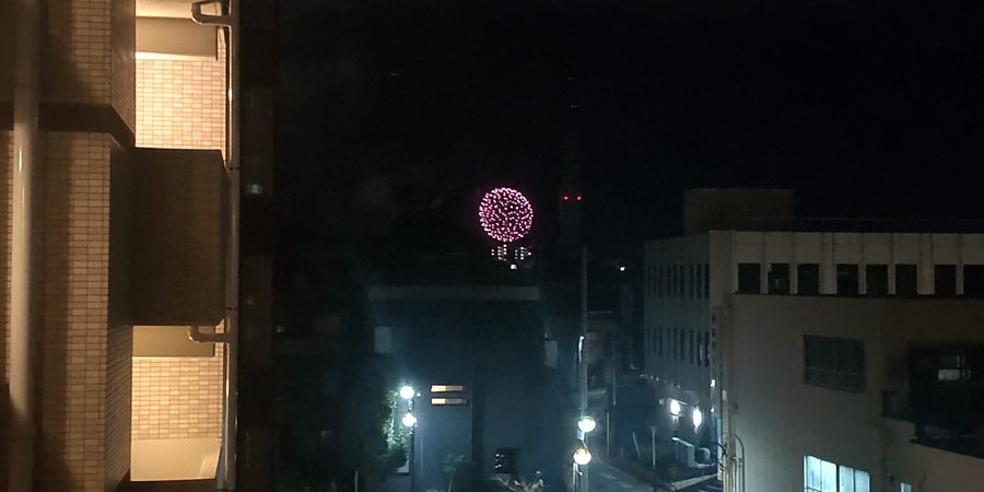 パークホームズ藤沢二丁目 眺望