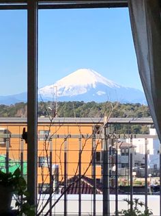 ミオカステーロ藤沢本町 眺望