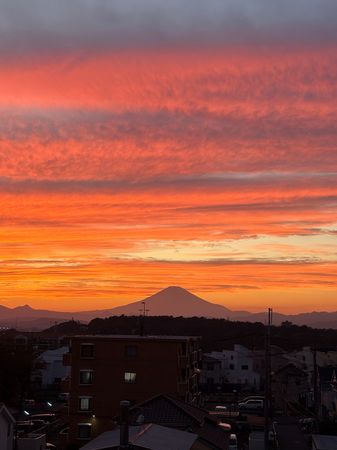 ミオカステーロ藤沢本町 眺望