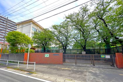 藤沢市立新林小学校（約950ｍ）