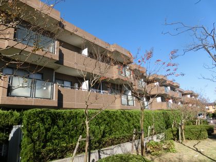 藤和鵠沼海岸ホームズ ガーデンステージ 外観