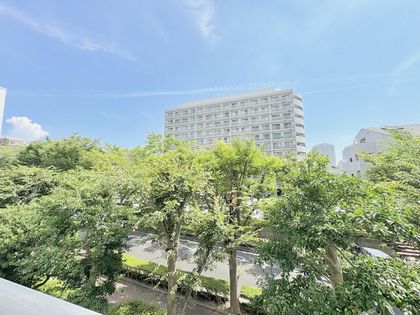 ニューシティ東戸塚アーバンハイツ丘の街6号棟 眺望