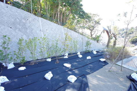 鎌倉市極楽寺1丁目 土地 3区画 土地写真