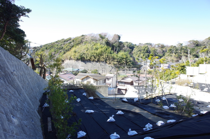 鎌倉市極楽寺1丁目 土地 3区画 眺望 鎌倉市極楽寺1丁目 土地 3区画 眺望