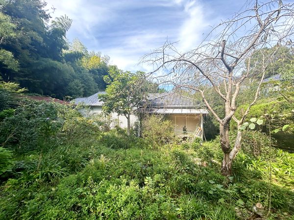 鎌倉市鎌倉山2丁目 古家付き土地 土地写真