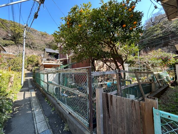 鎌倉市材木座4丁目 古家付き土地 前面道路含む外観 鎌倉市材木座4丁目 古家付き土地 前面道路含む外観