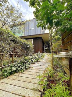 鎌倉市佐助1丁目 戸建 外観