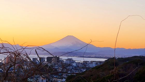鎌倉市七里ガ浜2丁目 戸建 眺望