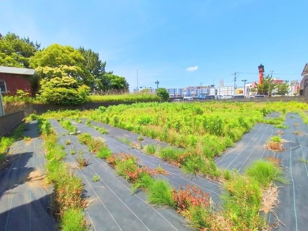 茅ヶ崎市浜之郷 土地 土地写真