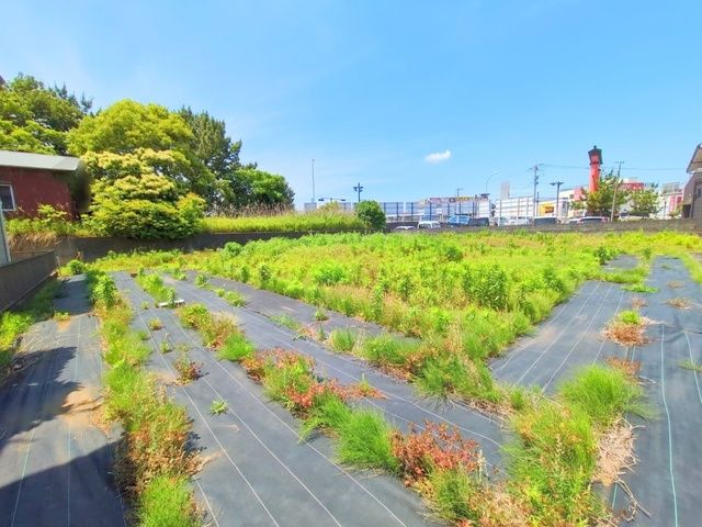 土地写真