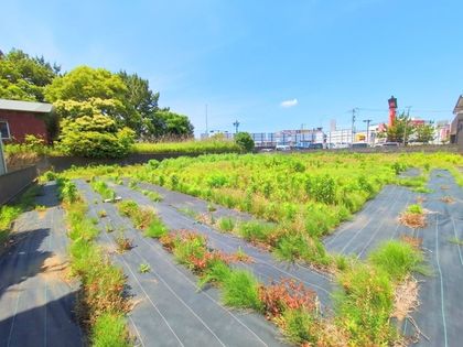 茅ヶ崎市浜之郷 土地 土地写真