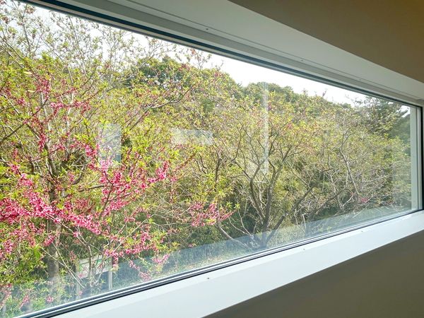茅ヶ崎市松風台 新築戸建 B号棟 眺望 茅ヶ崎市松風台 新築戸建 B号棟 眺望