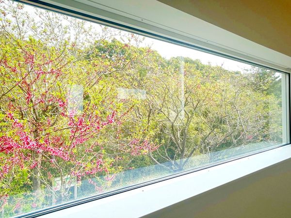茅ヶ崎市松風台 新築戸建 B号棟 眺望 茅ヶ崎市松風台 新築戸建 B号棟 眺望
