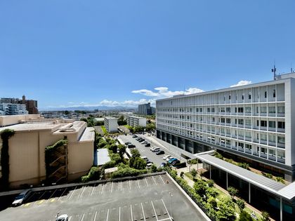 サーパス茅ヶ崎駅前 眺望 サーパス茅ヶ崎駅前 眺望