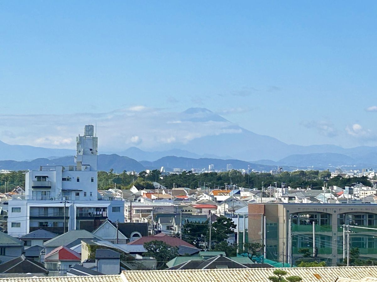 ライオンズマンション茅ヶ崎グランコースト 眺望 眺望