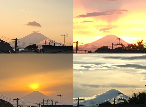 ダイアパレス茅ヶ崎鶴嶺 眺望 ダイアパレス茅ヶ崎鶴嶺 眺望