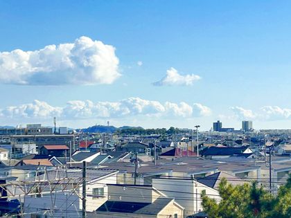 レクセルマンション茅ヶ崎 眺望