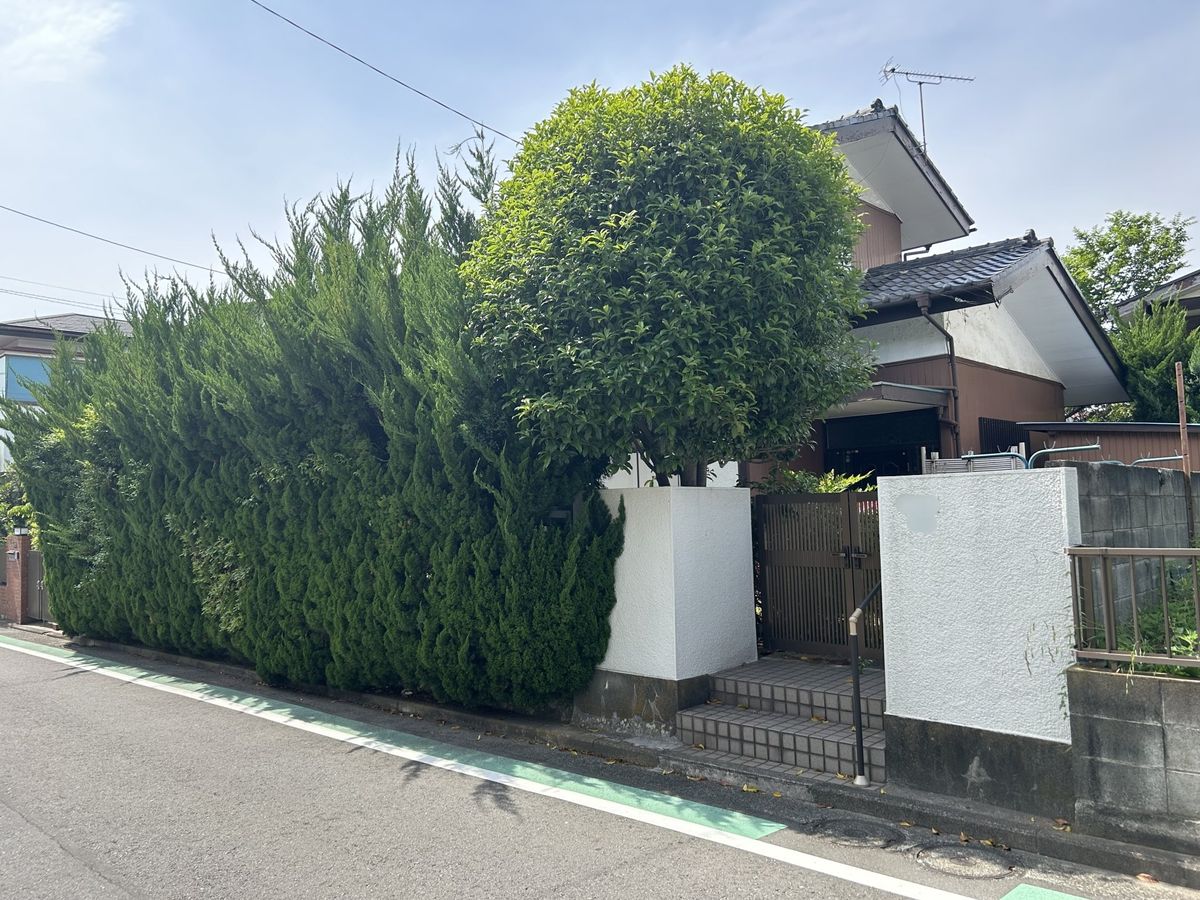 土地写真
