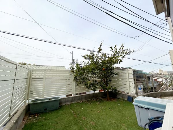 南区永田北3丁目 戸建 庭