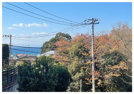 三浦郡葉山町堀内 眺望