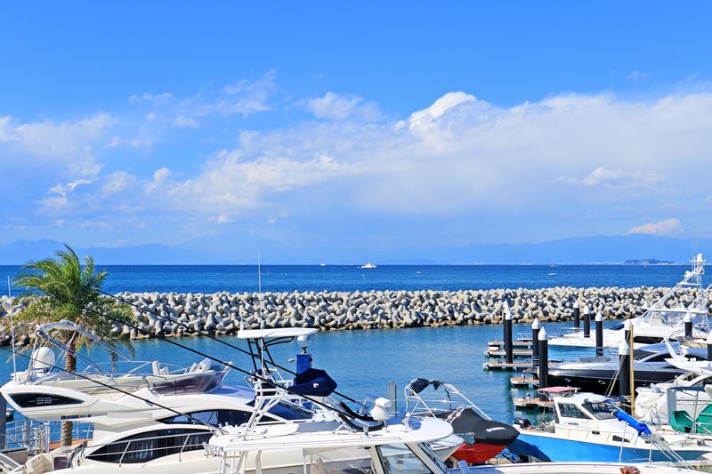 ライオンズリゾートマンション芦名 B棟 眺望 眺望