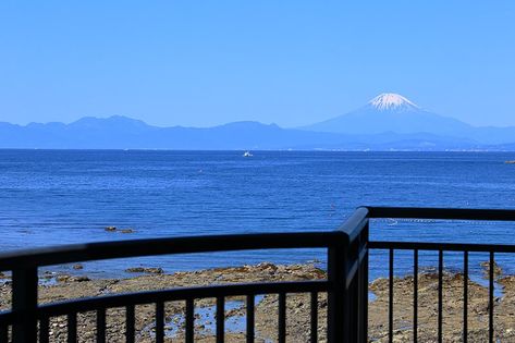 マイキャッスル葉山 眺望