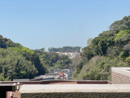 ライオンズマンション逗子披露山公園 眺望