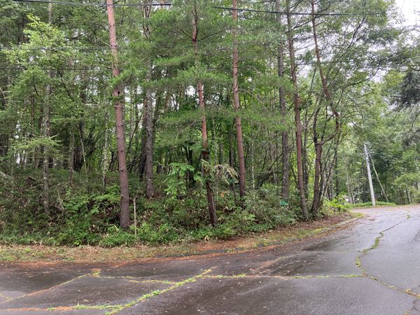 八ヶ岳中央高原三井の森 前面道路含む外観