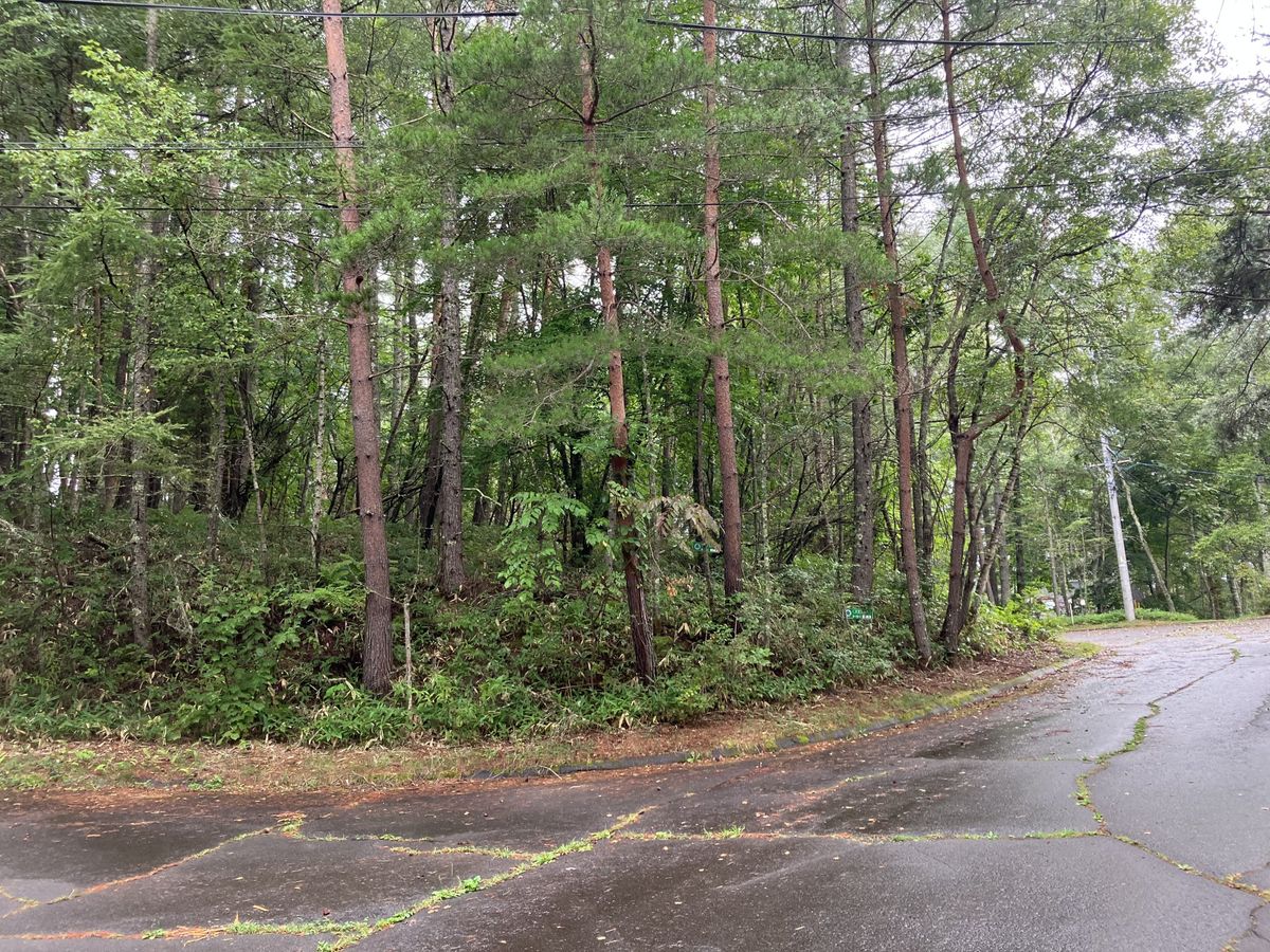 八ヶ岳中央高原三井の森 前面道路含む外観 前面道路含む外観