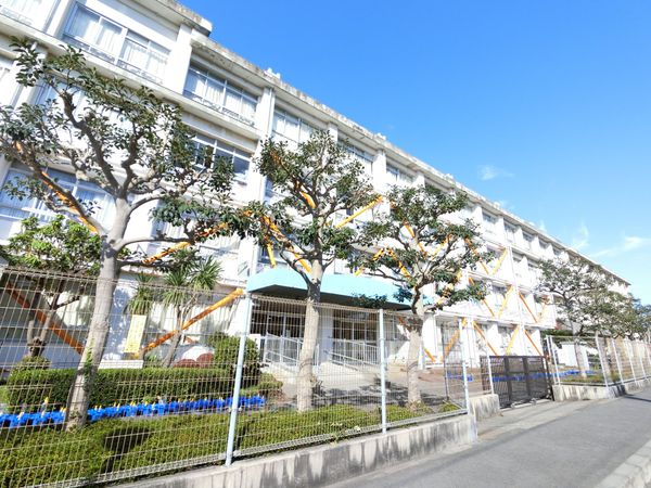 藤沢市立羽鳥小学校（約800ｍ）