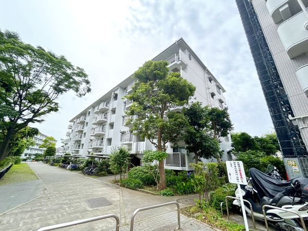 辻堂駅前ハイツ 外観 辻堂駅前ハイツ 外観
