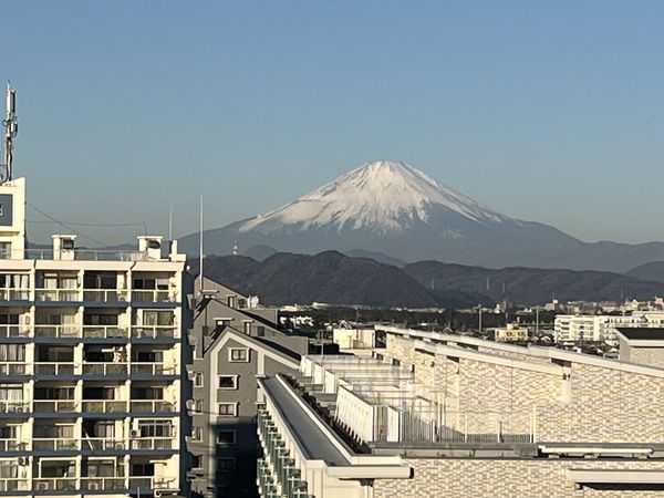 ライオンズマンション茅ヶ崎サザンビーチ 眺望