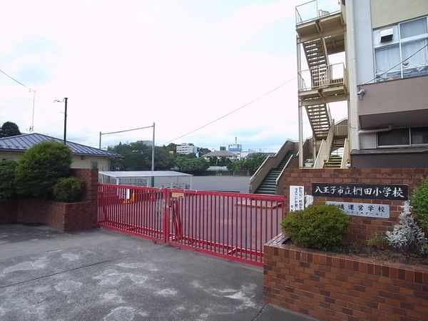 八王子市立椚田小学校（約640ｍ）