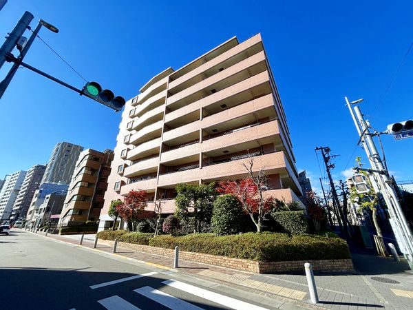 コスモ八王子ロイヤルフォルム 外観