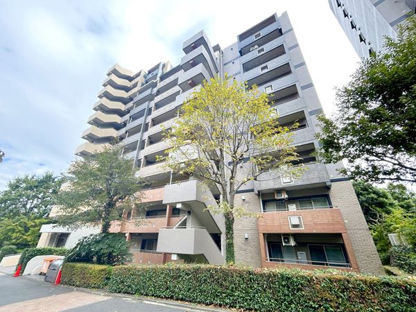 南大沢学園一番街 外観 南大沢学園一番街 外観