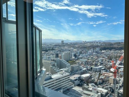 ブリリアタワー聖蹟桜ヶ丘 富士山を望むリビングからの眺望