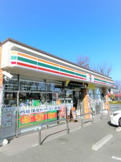 セブンイレブン練馬関町南2丁目店（約250ｍ）