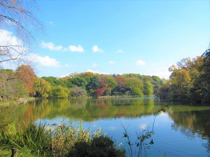 善福寺公園（約300ｍ）