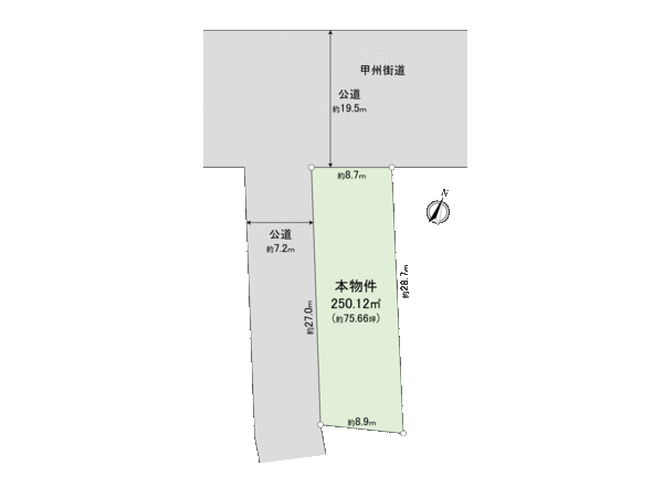 調布市東つつじケ丘1丁目 売地(更地渡し) 地形図