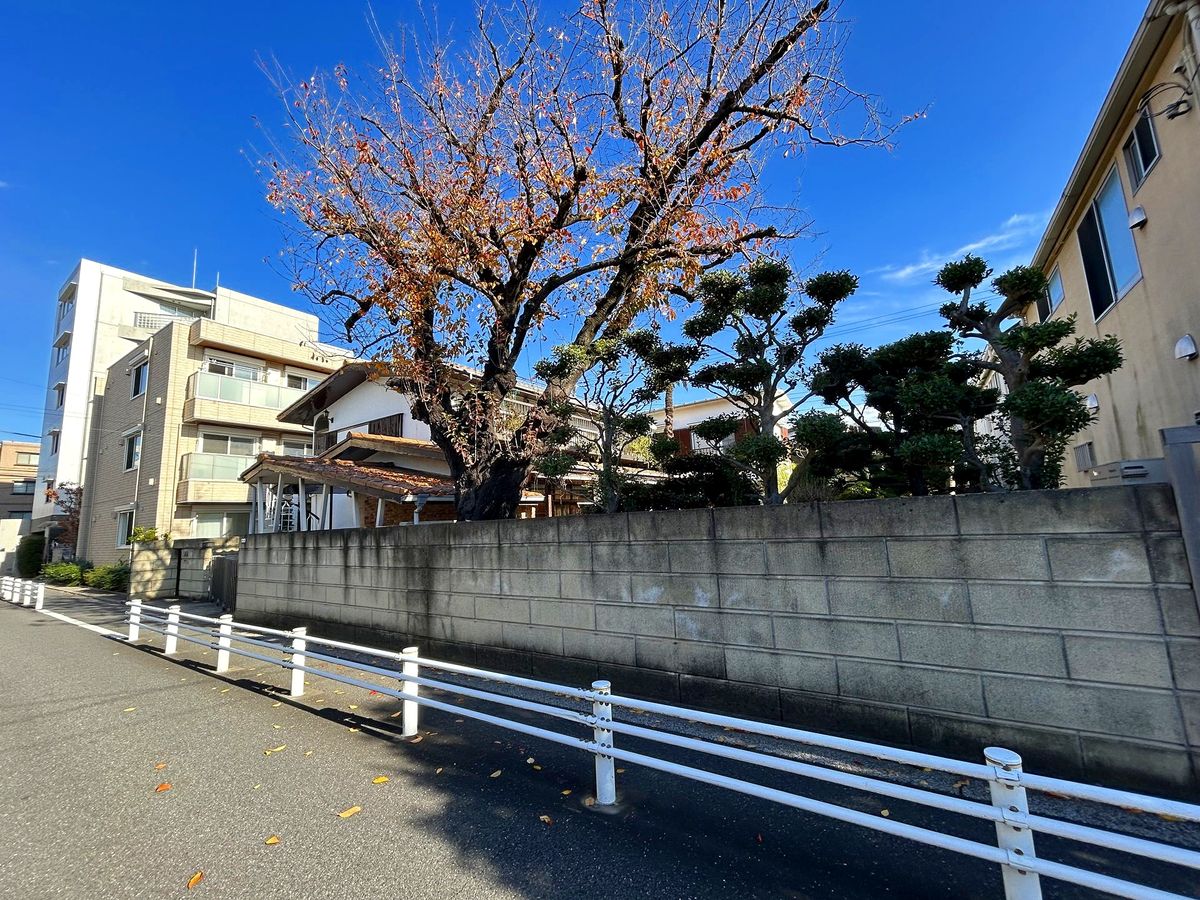 土地写真