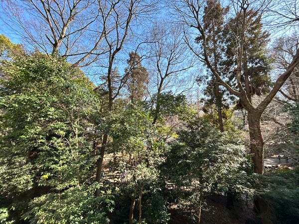 井の頭パークサイドマンション 眺望