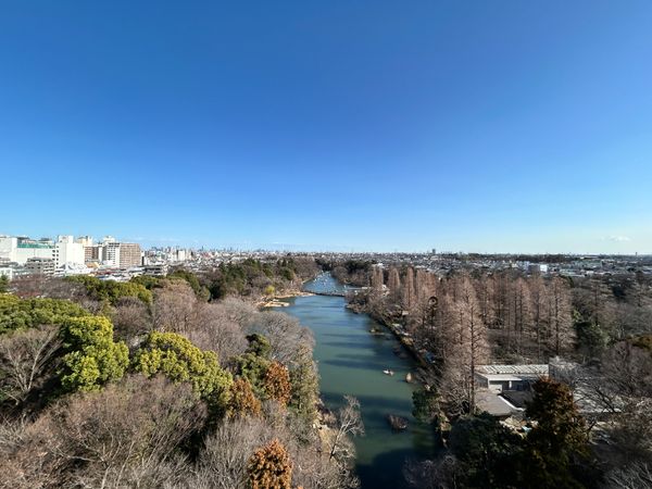 メゾン井の頭 眺望