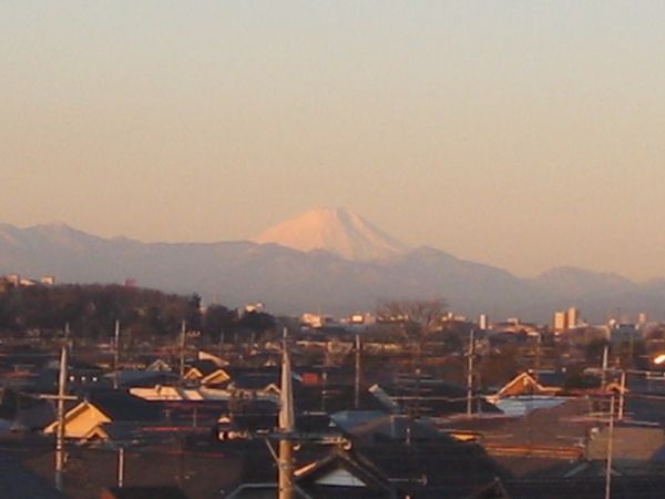 井の頭パークビューマンション 眺望