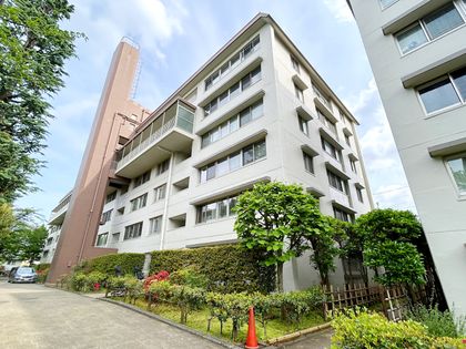 白鷺ハイム 外観