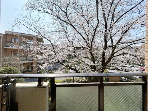 グローリオ吉祥寺アークス ブライトコート 眺望 グローリオ吉祥寺アークス ブライトコート 眺望