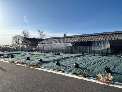 国分寺市西町3丁目 3区画 土地写真