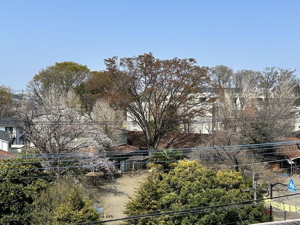 リーベスト国立 眺望