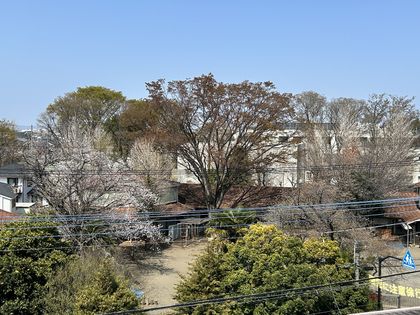 リーベスト国立 眺望