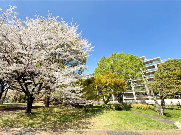 パークシティ国分寺 外観 パークシティ国分寺 外観