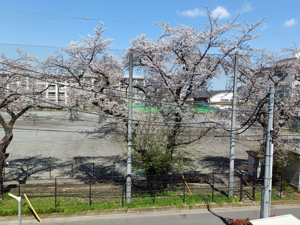 アーデル・フェリエ国立東 眺望